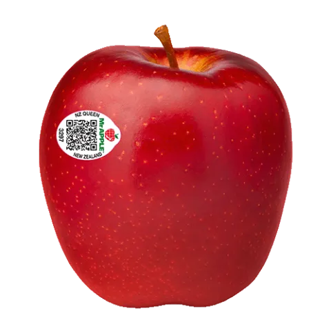 Dazzle | Mr Apple